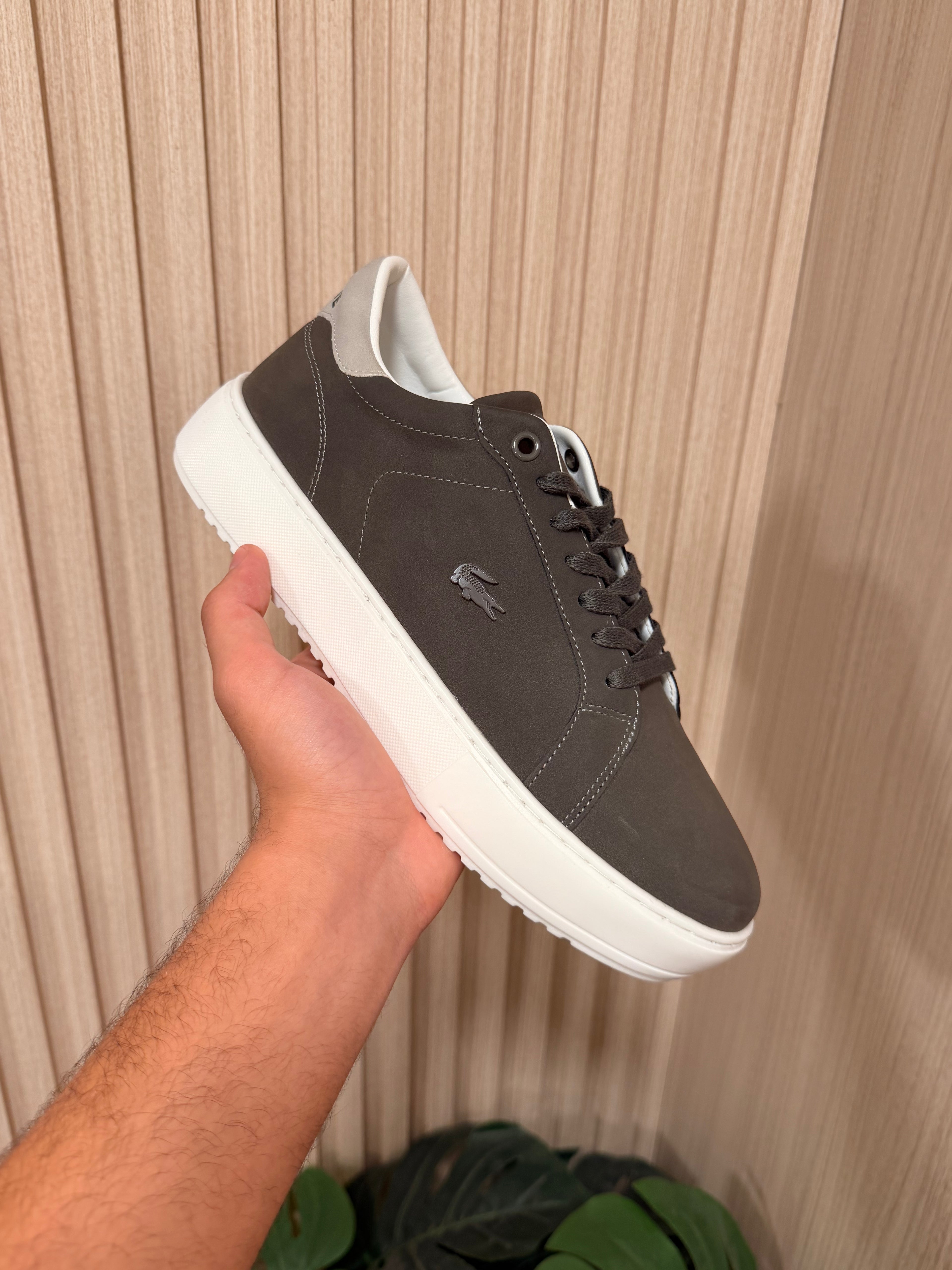 Luxury Lacoste