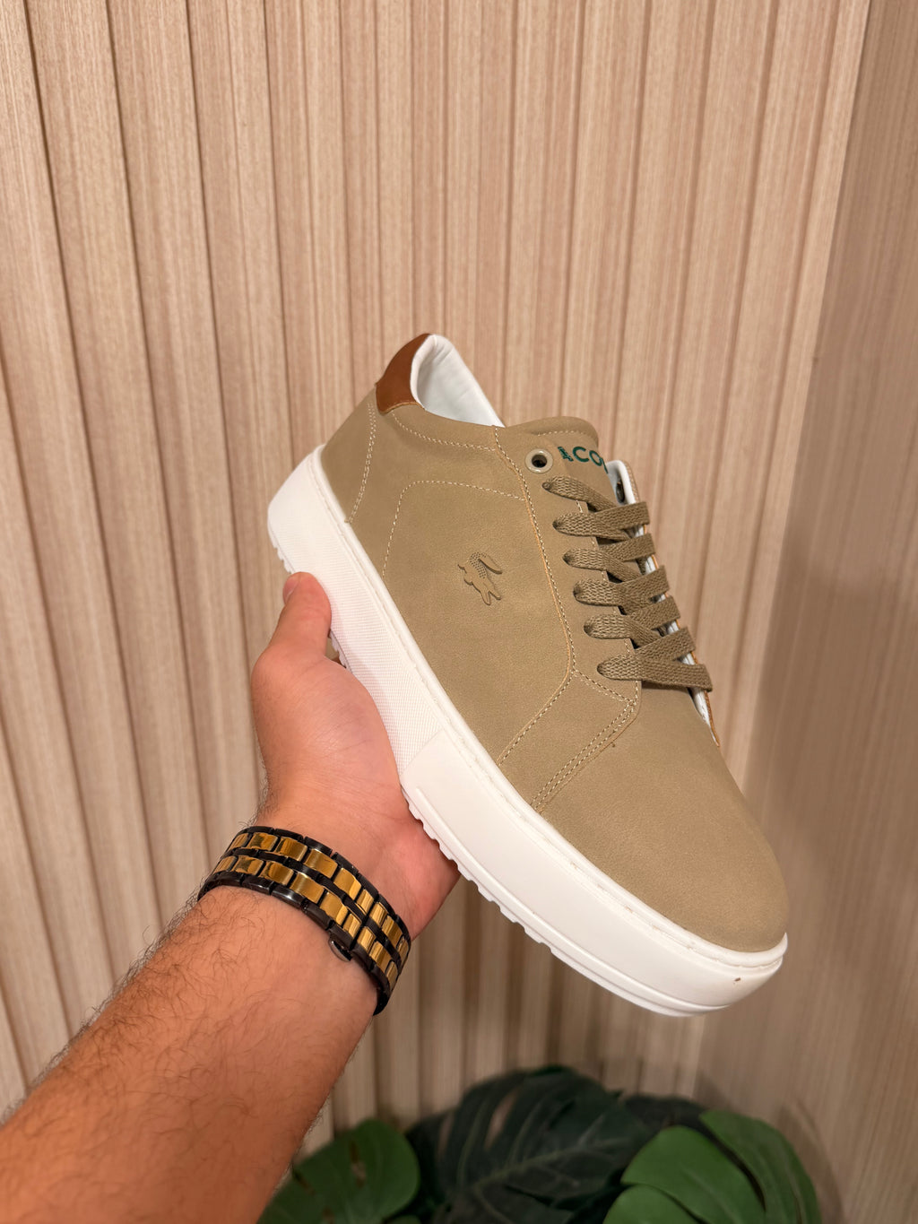 Luxury Lacoste